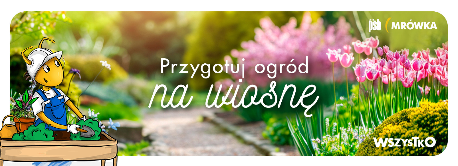 Grupa PSB mrowka PSB Mrówka Psary