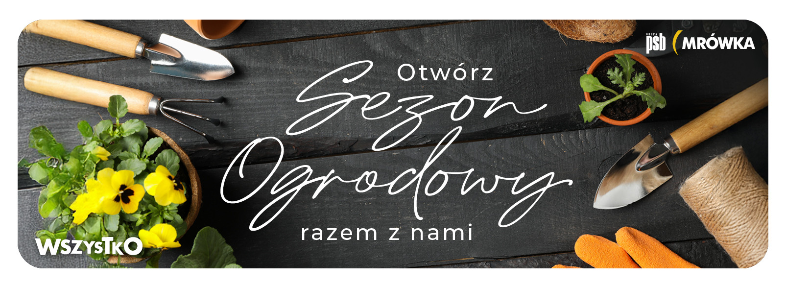 Grupa PSB mrowka PSB Mrówka Psary